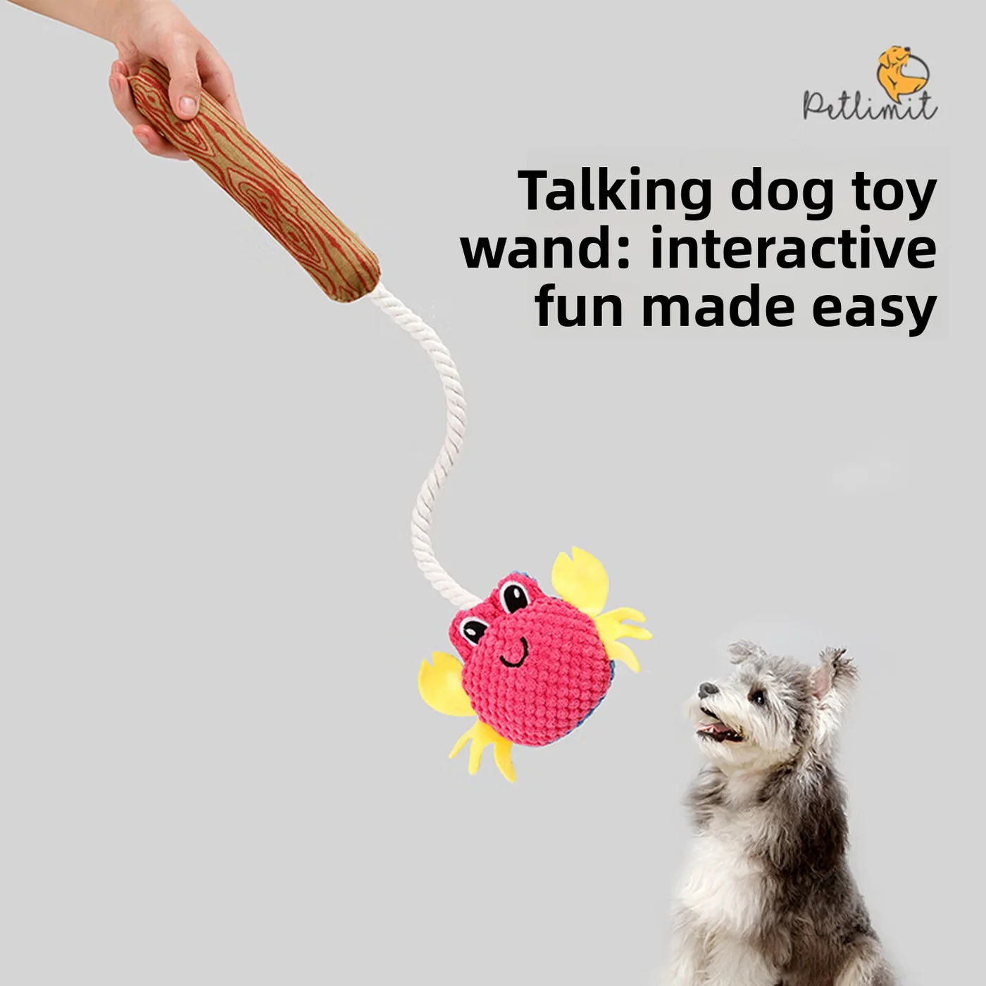 Interactive Teaser Wand-1